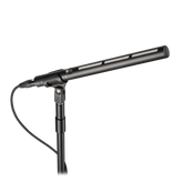 Line + Gradient Large-Diaphragm Condenser Microphone BP28