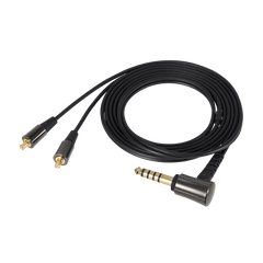 In-Ear Headphones ATH-CK2000Ti
