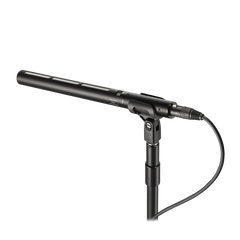 Line + Gradient Large-Diaphragm Condenser Microphone BP28