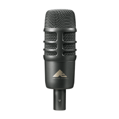 Dual-element Cardioid Instrument Microphone AE2500