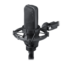 Cardioid Condenser Microphone AT4033a