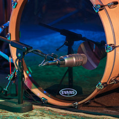 Dual-element Cardioid Instrument Microphone AE2500