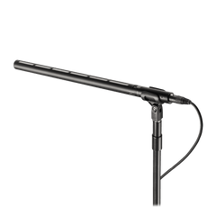 Line + Gradient Large Diaphragm Condenser Microphone BP28L